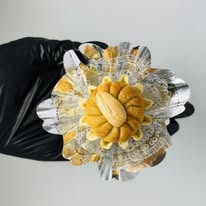 Dziriates aux amandes et miel